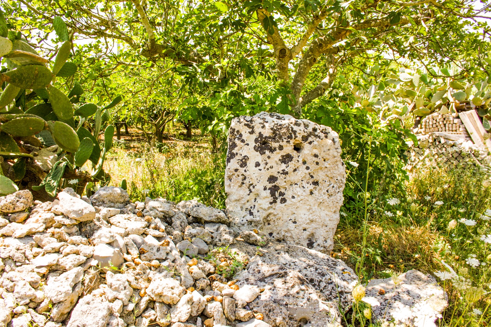 Menhir Pietragrossa_3